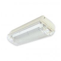 Surface Mount Addressable Emergency Light