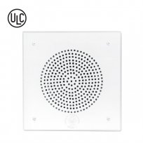 Wall Speaker