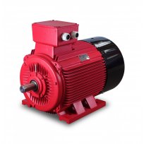 Electric Motor